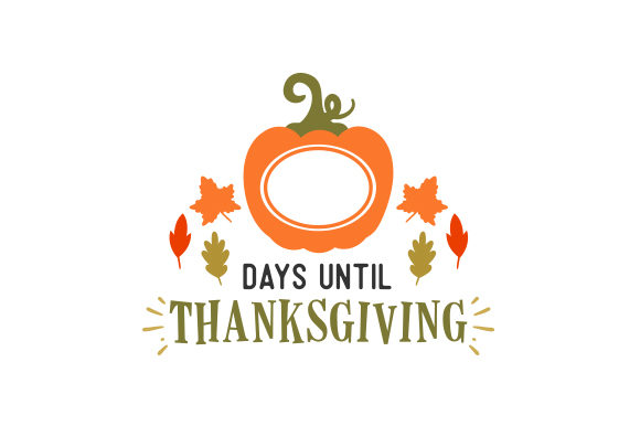 Counting Down to Thanksgiving: A Designer's Real-World Review